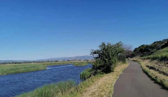 Fremont CA